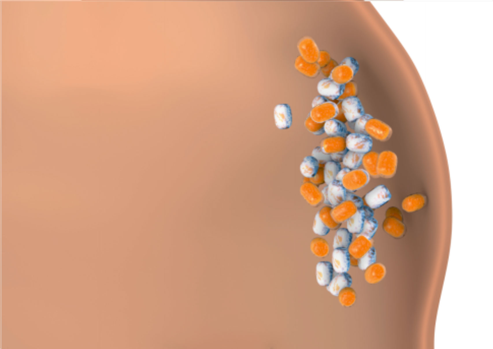 Kryolipolyse, Fettzellen nachhaltig abbauen